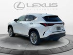 2026 Lexus NX 350 Premium