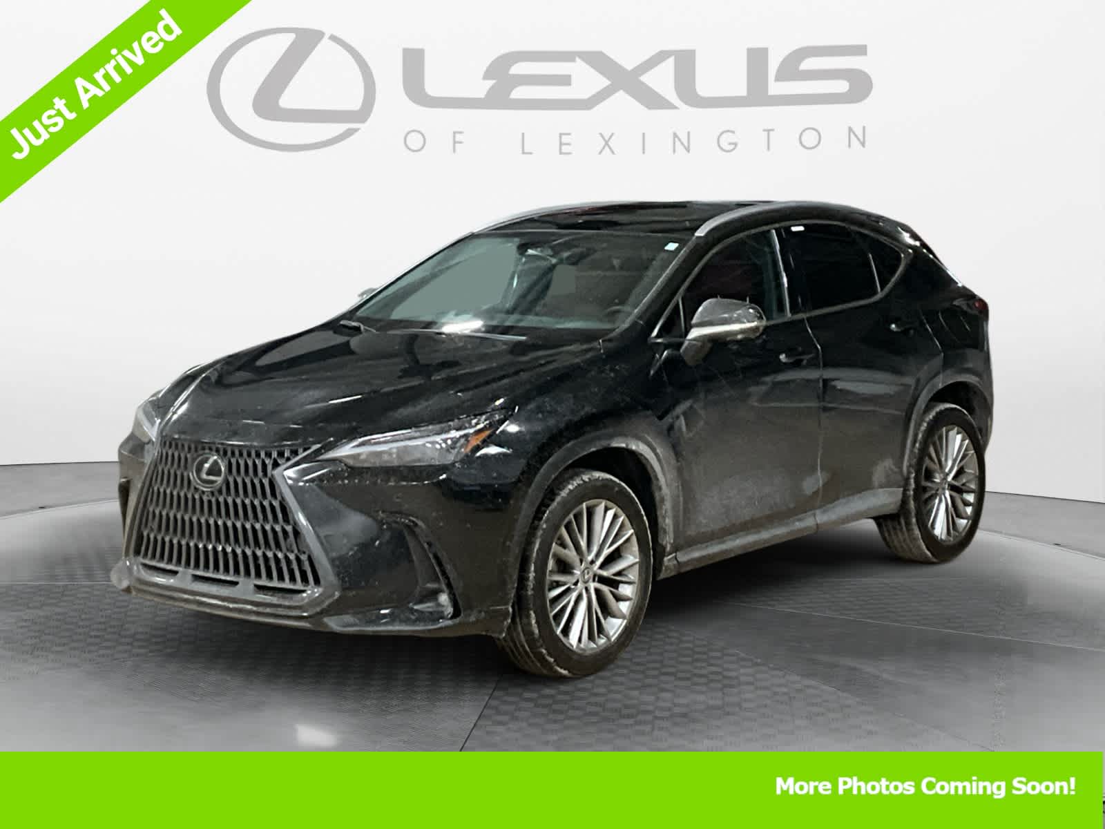 2025 Lexus NX Premium