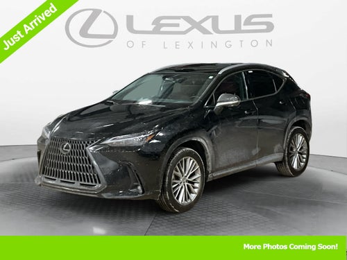 2025 Lexus NX Premium