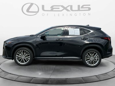 2025 Lexus NX 350h Premium