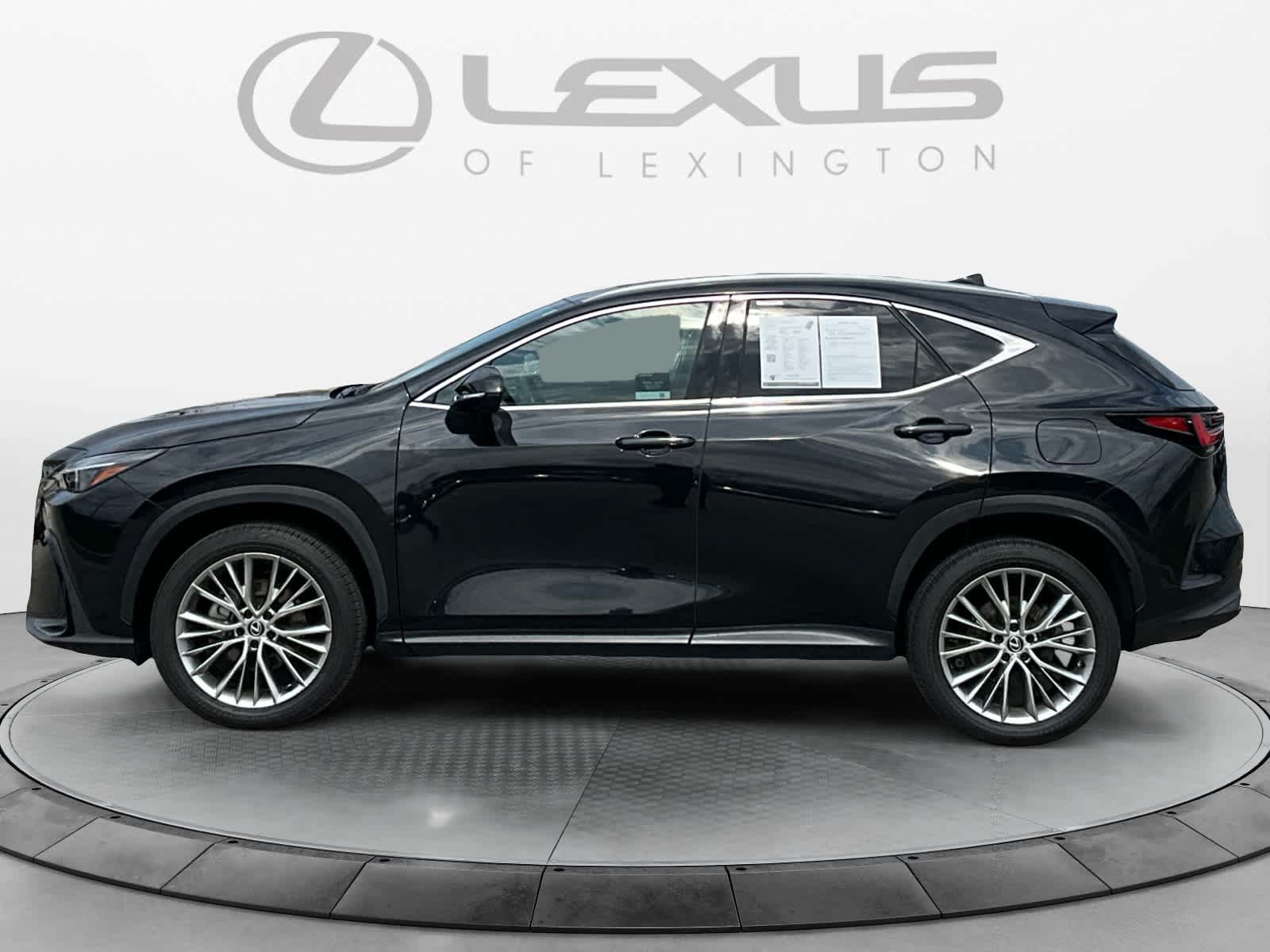 2025 Lexus NX 350h Premium