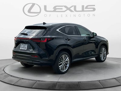 2025 Lexus NX 350h Premium