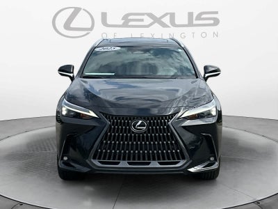 2025 Lexus NX 350h Premium