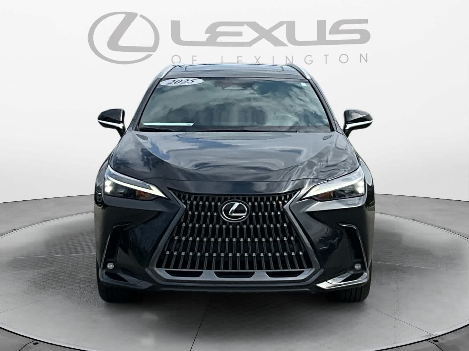 2025 Lexus NX 350h Premium