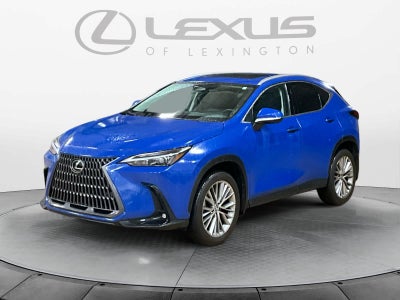 2025 Lexus NX Premium