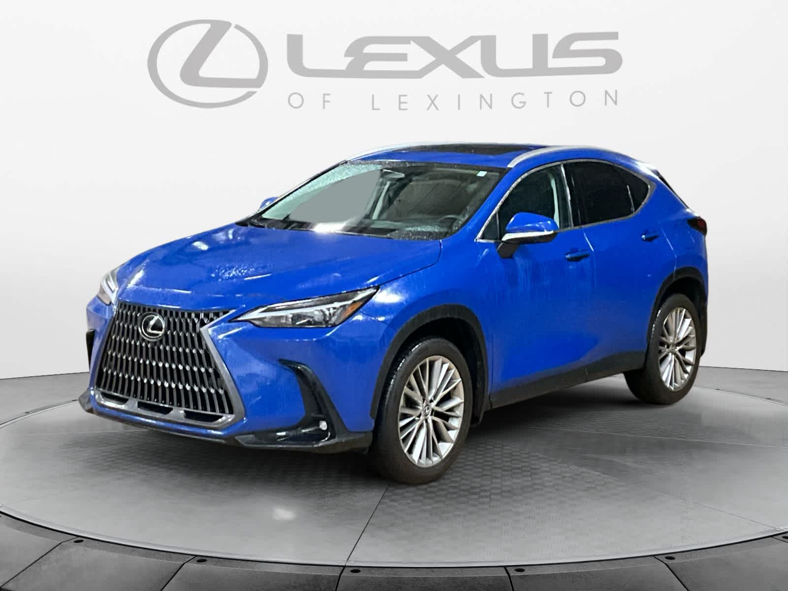 2025 Lexus NX Premium