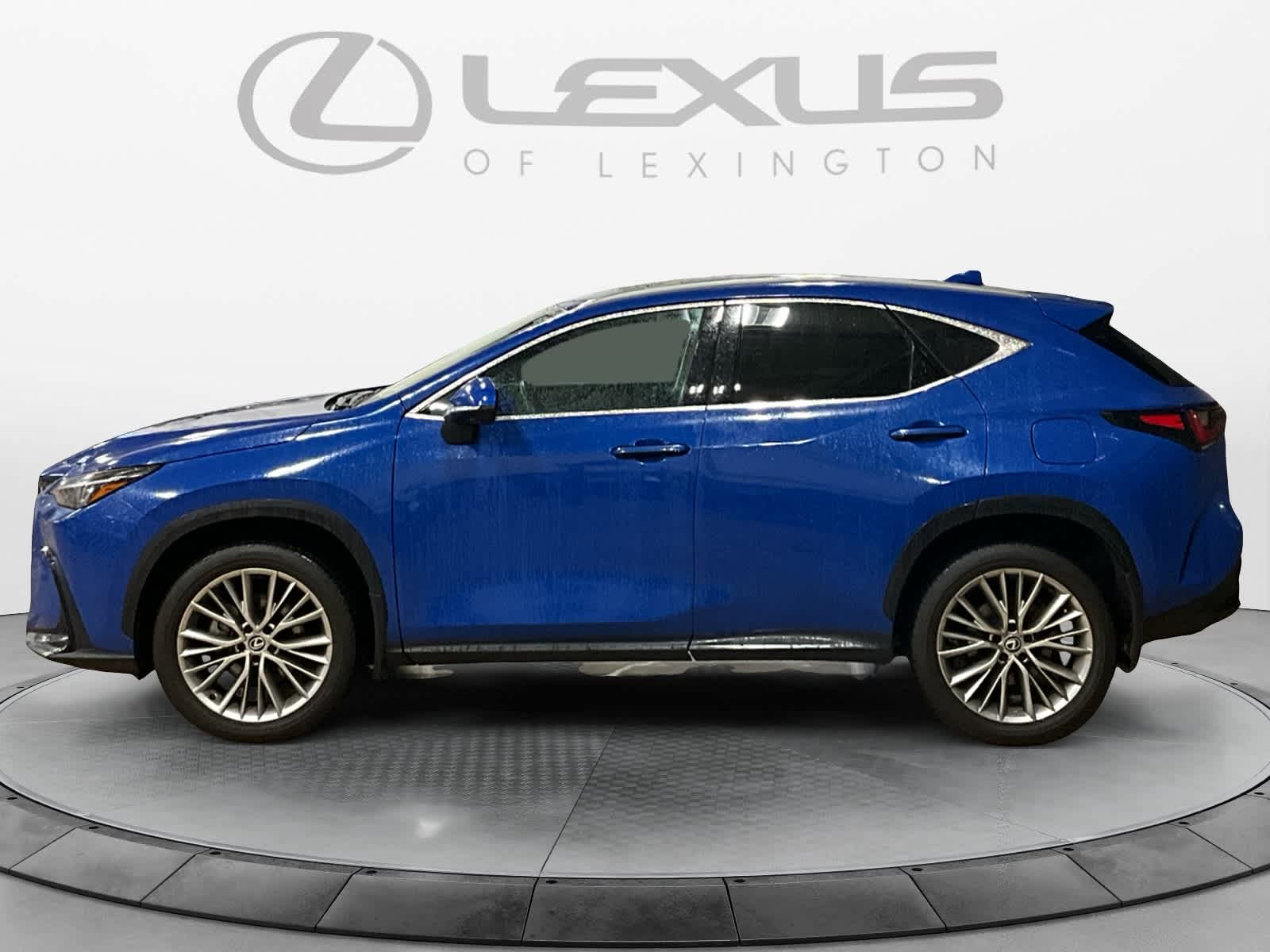 2025 Lexus NX Premium