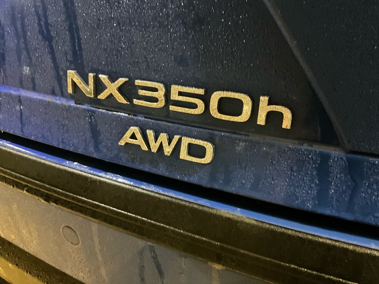 2025 Lexus NX Premium