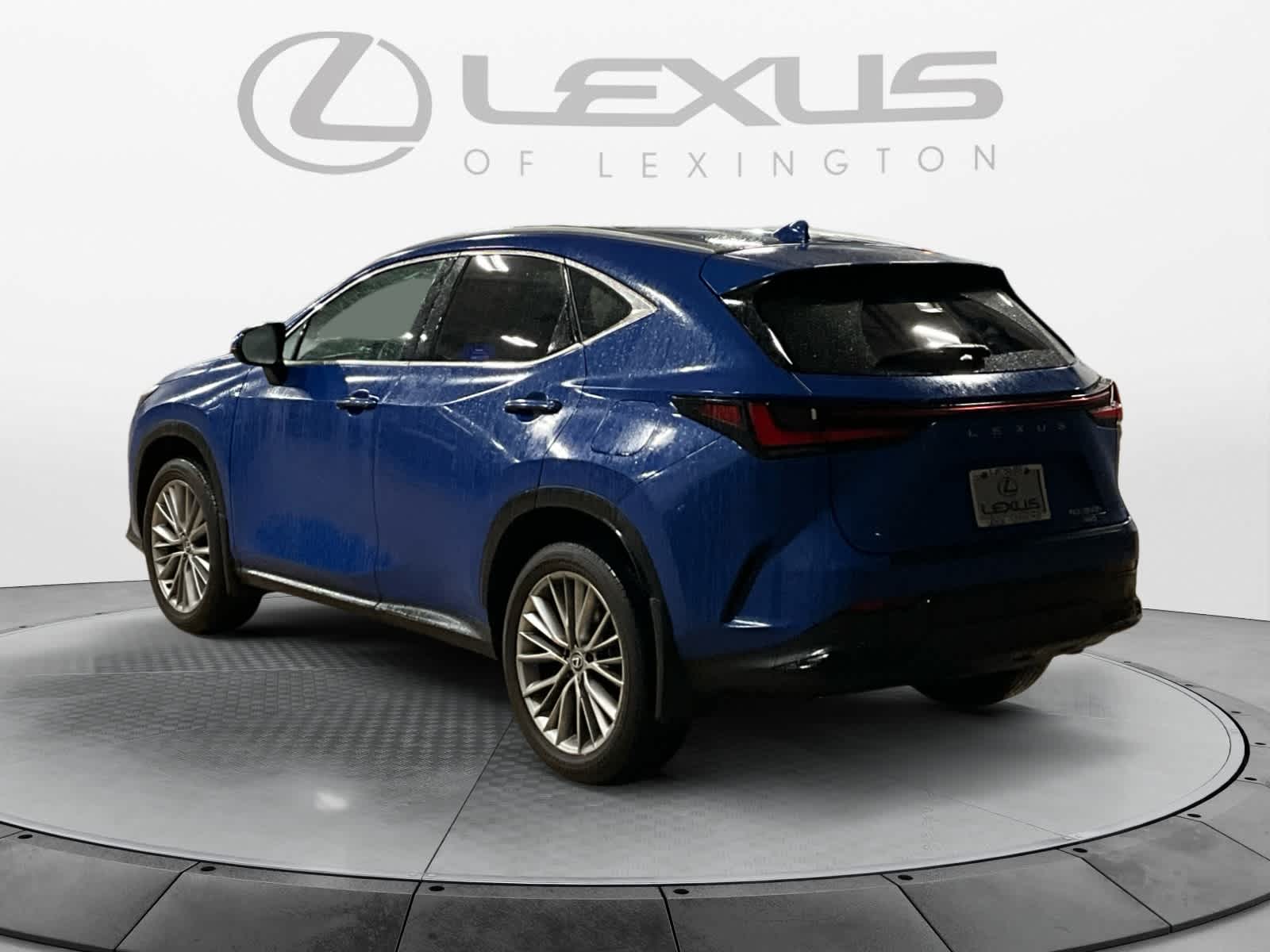 2025 Lexus NX Premium