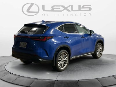 2025 Lexus NX Premium