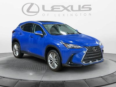 2025 Lexus NX Premium