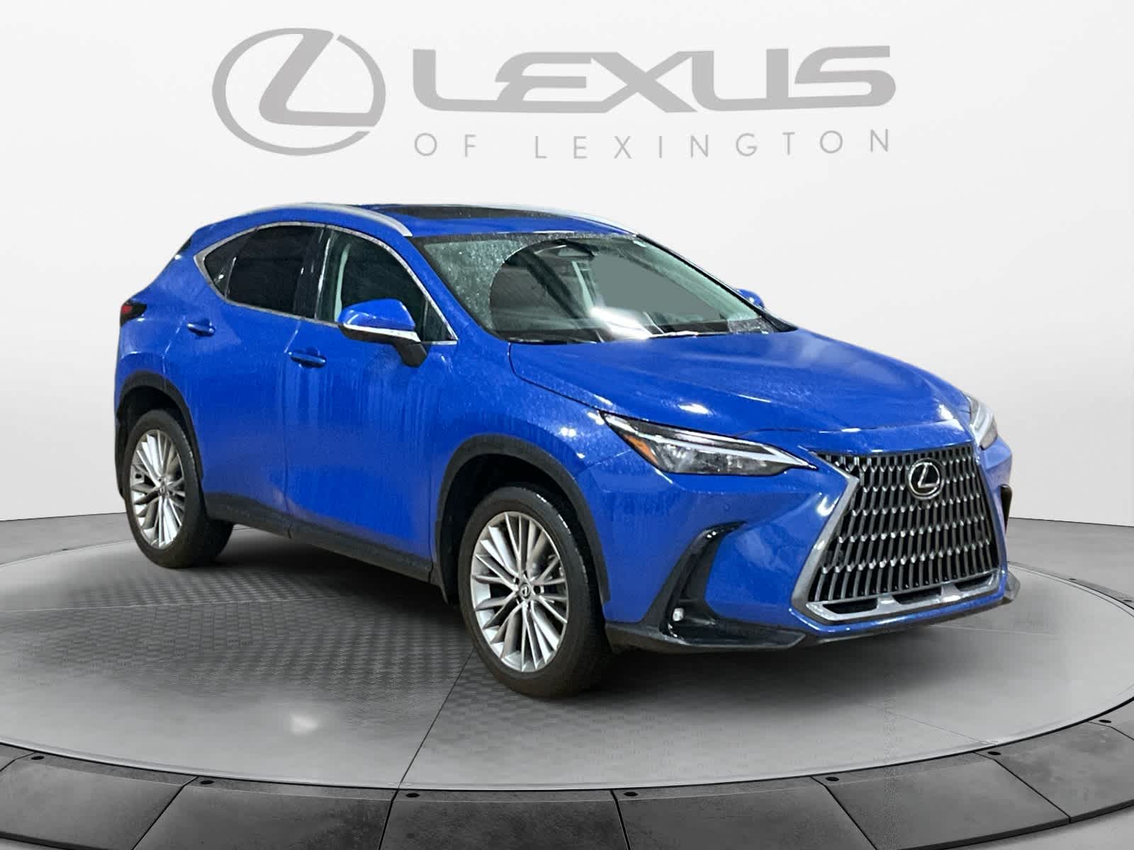 2025 Lexus NX Premium