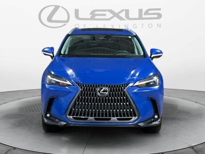 2025 Lexus NX Premium