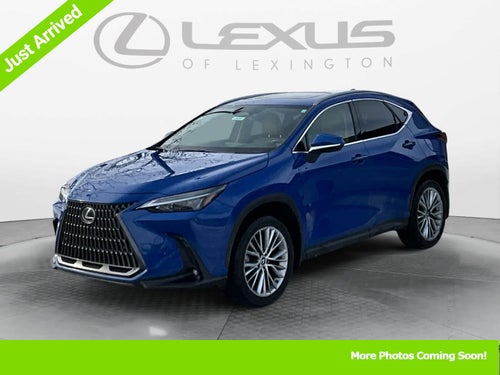 2025 Lexus NX Premium