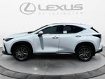 2026 Lexus NX 350h Premium