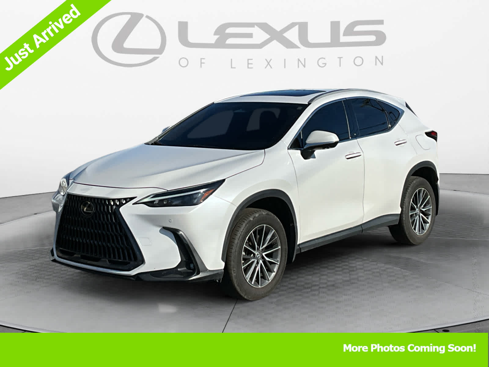 2024 Lexus NX Premium