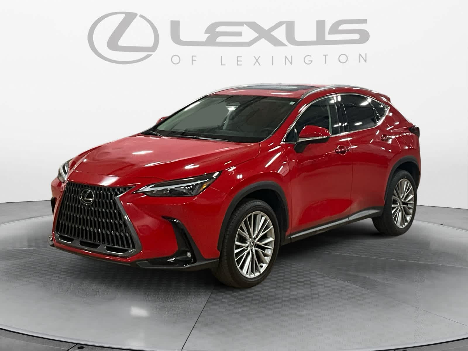2025 Lexus NX 350h Premium