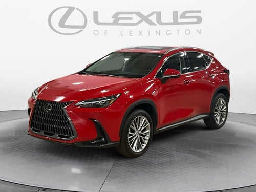 2025 Lexus NX 350h Premium