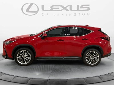 2025 Lexus NX 350h Premium