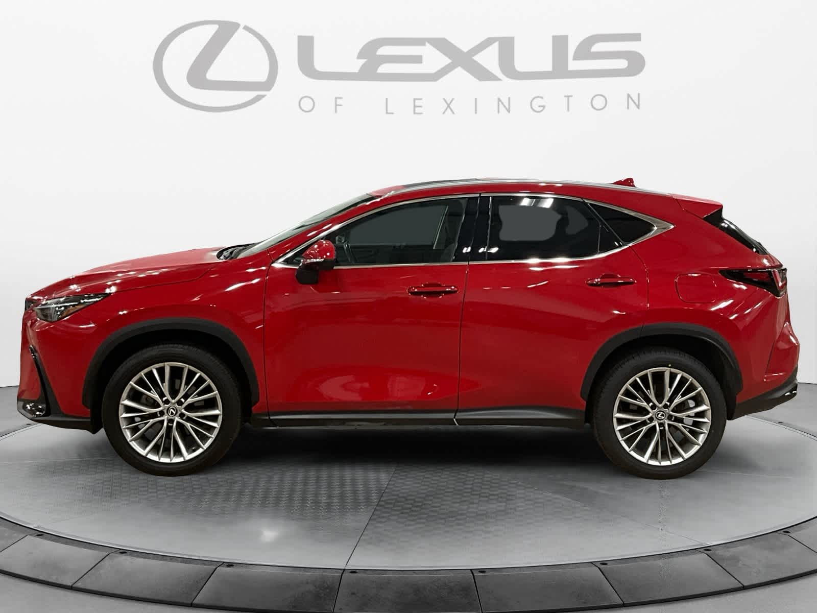 2025 Lexus NX 350h Premium