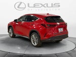 2025 Lexus NX 350h Premium