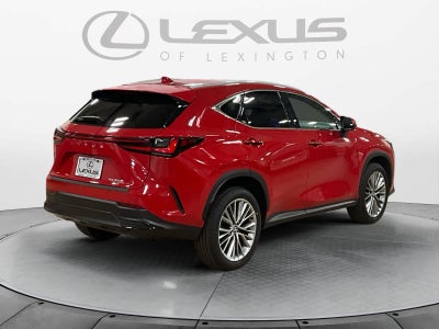 2025 Lexus NX 350h Premium