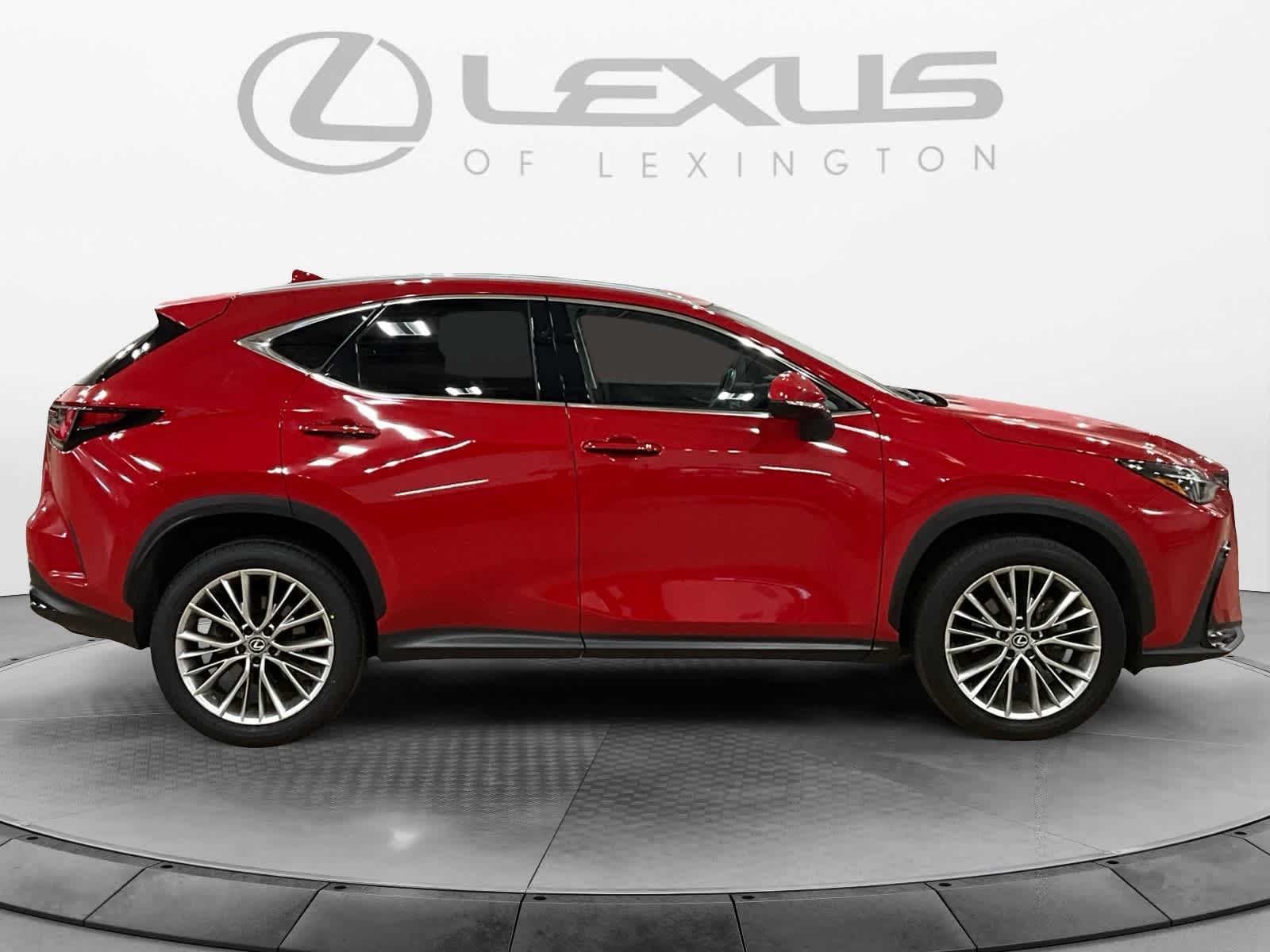 2025 Lexus NX 350h Premium