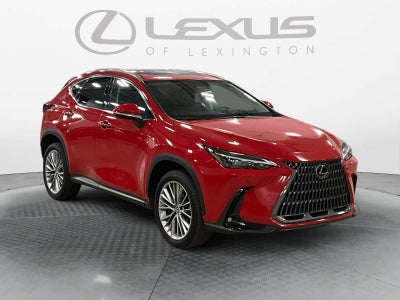 2025 Lexus NX 350h Premium