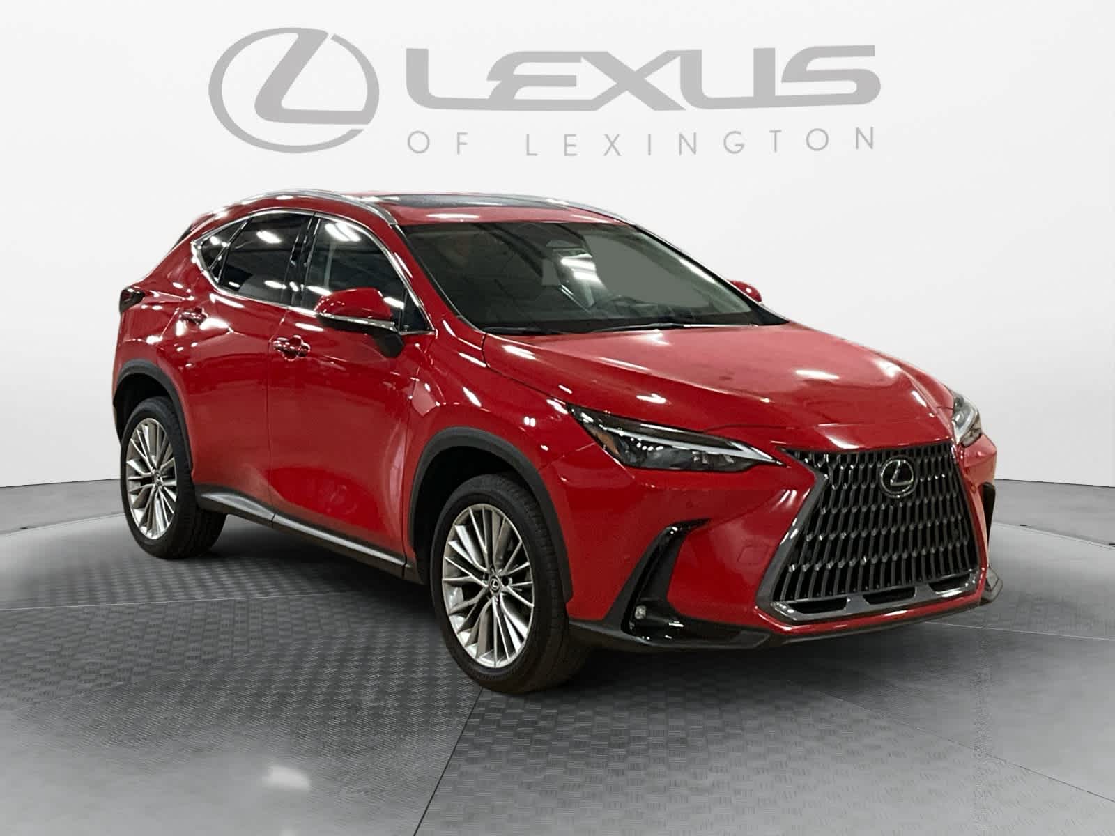 2025 Lexus NX 350h Premium