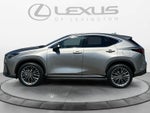 2026 Lexus NX 350h Premium