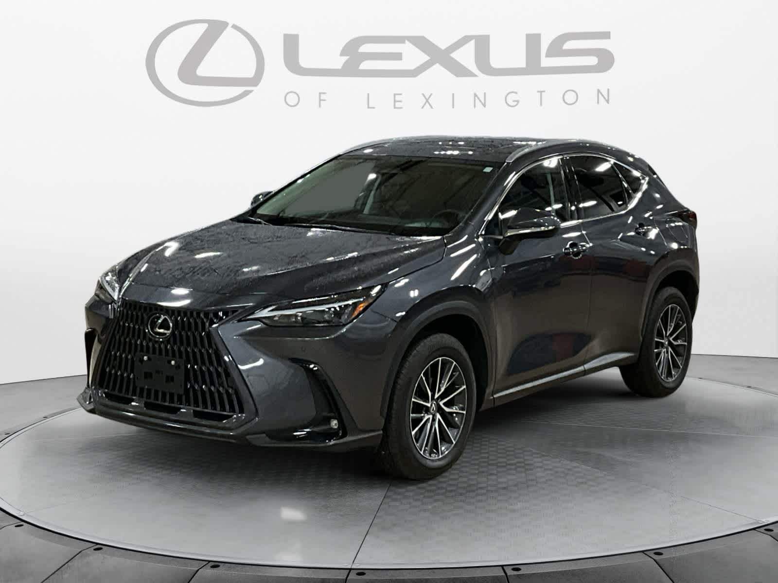 2023 Lexus NX 350h Premium
