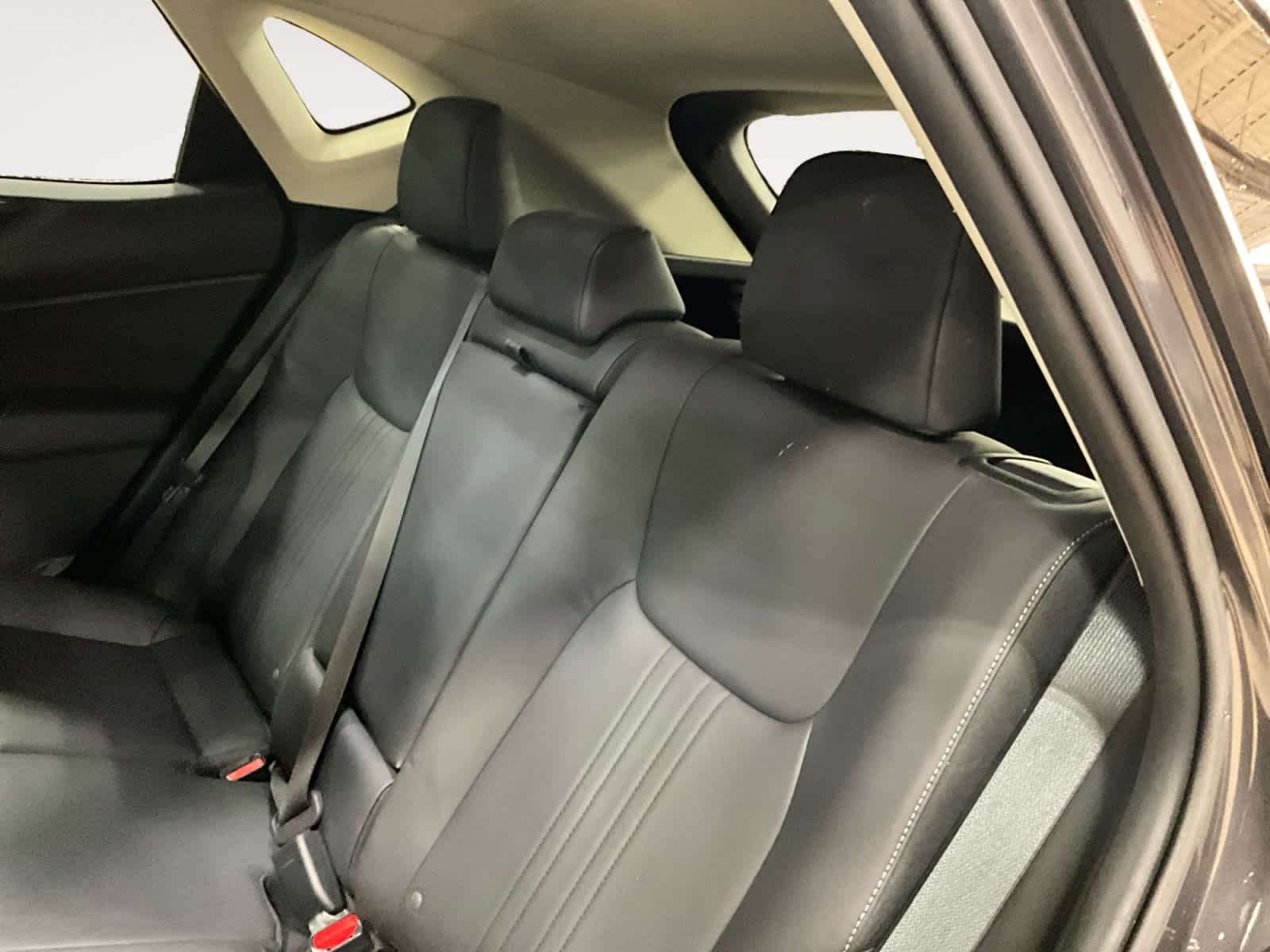 2023 Lexus NX 350h Premium