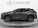 2023 Lexus NX 350h Premium