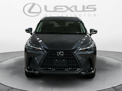 2023 Lexus NX 350h Premium