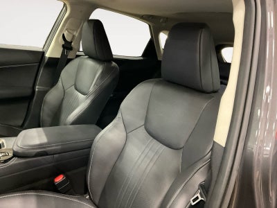 2023 Lexus NX 350h Premium