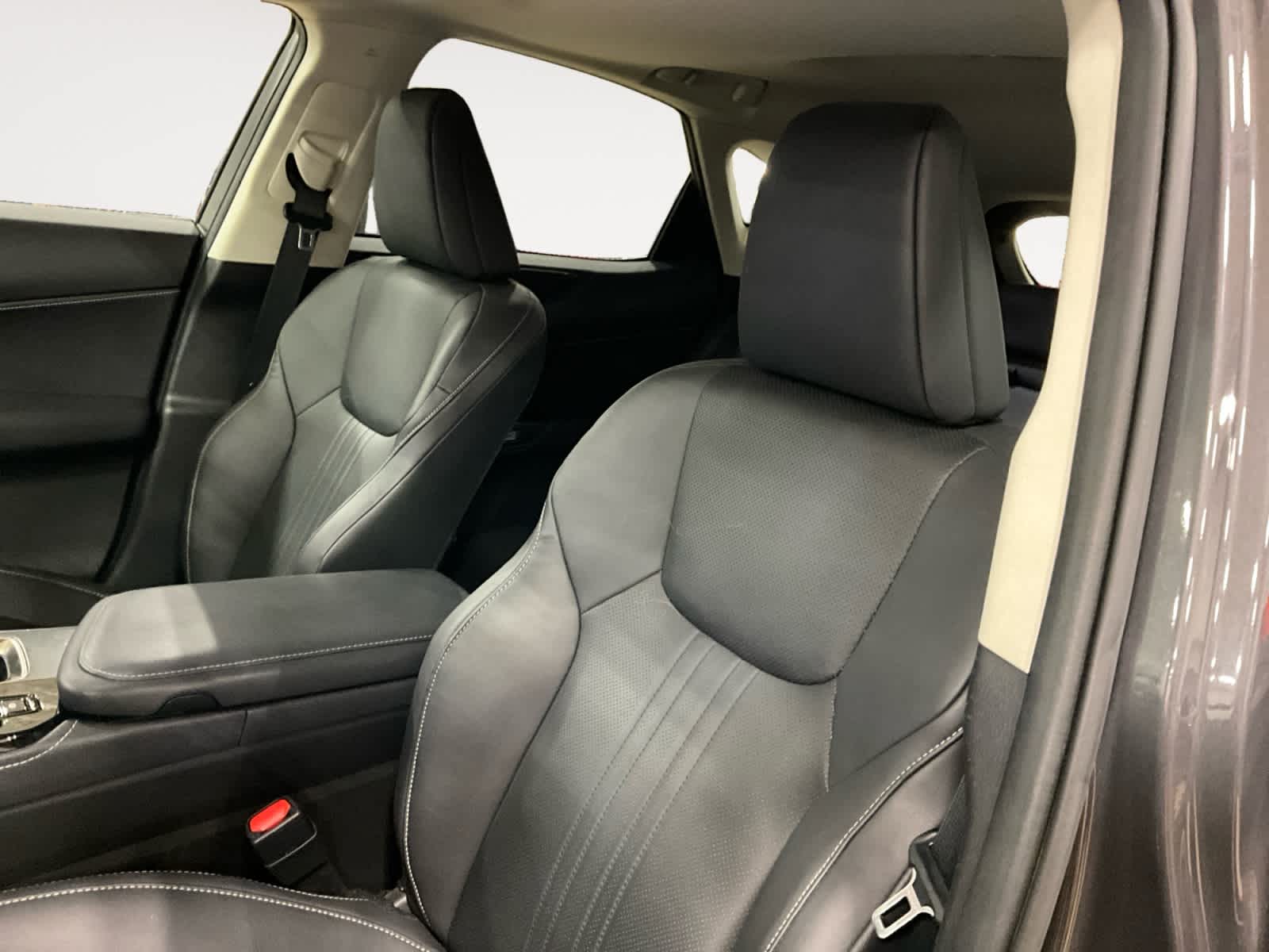 2023 Lexus NX 350h Premium