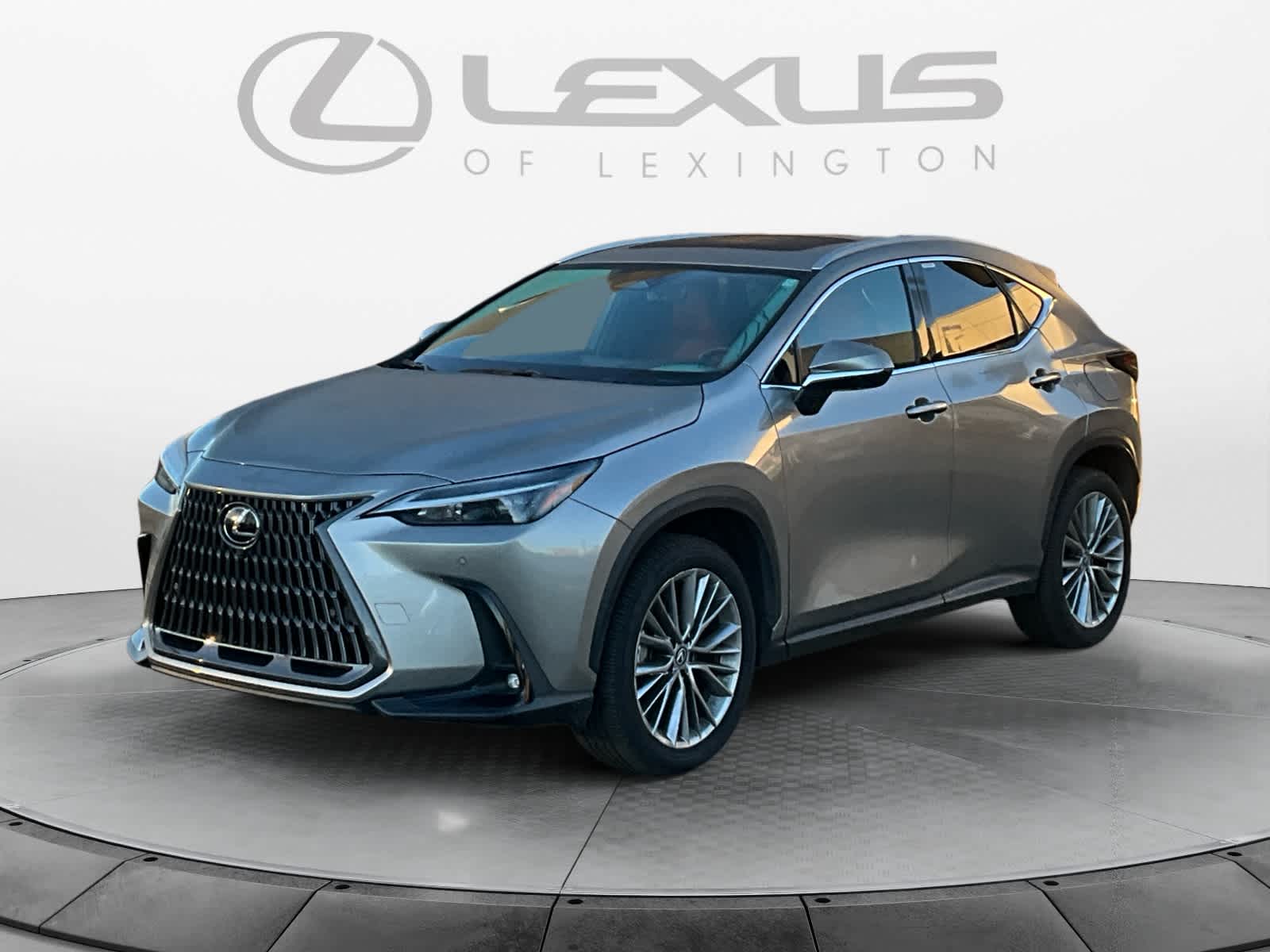 2025 Lexus NX Hybrid