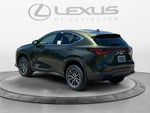 2026 Lexus NX 350h Premium