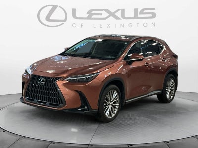 2025 Lexus NX 350h Premium