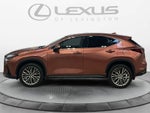2025 Lexus NX 350h Premium