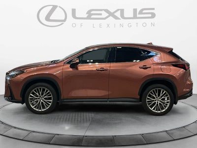 2025 Lexus NX 350h Premium