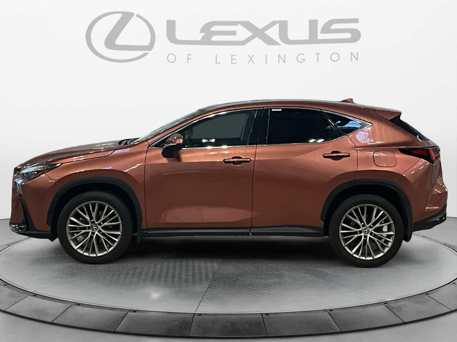 2025 Lexus NX 350h Premium