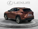 2025 Lexus NX 350h Premium