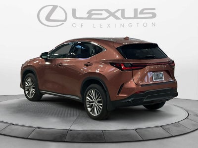 2025 Lexus NX 350h Premium