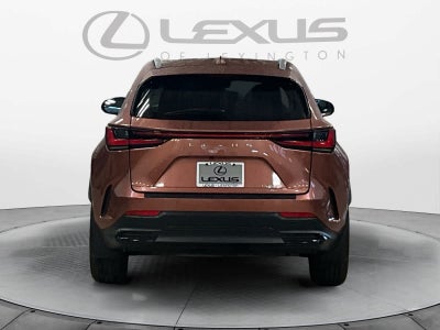 2025 Lexus NX 350h Premium