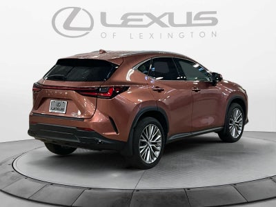 2025 Lexus NX 350h Premium