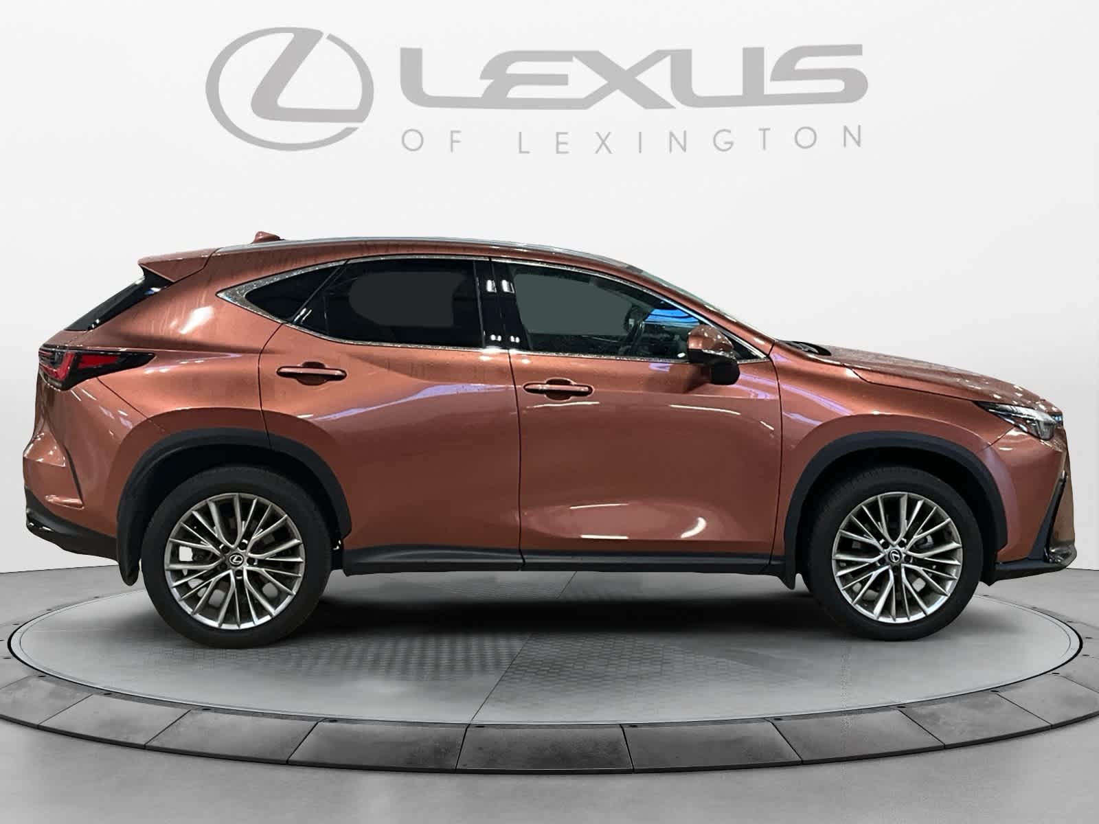 2025 Lexus NX 350h Premium