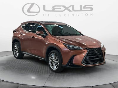 2025 Lexus NX 350h Premium