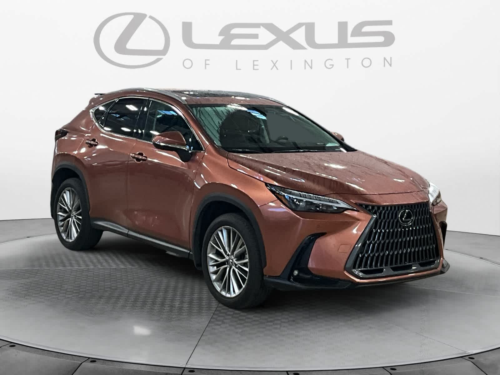 2025 Lexus NX 350h Premium