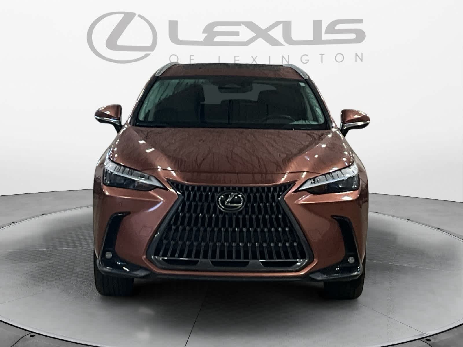 2025 Lexus NX 350h Premium